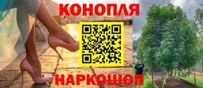 прущие грибы Ачхой-Мартан